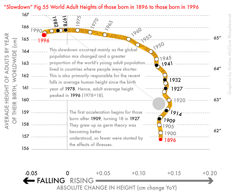 Fig 55-Average height of adults worldwide, born 1896–1996